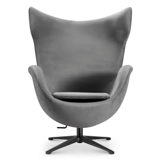 Flag Chair Zilver Grijs Velvet