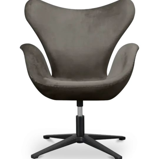 Sean Chair Zilver Grijs Velvet