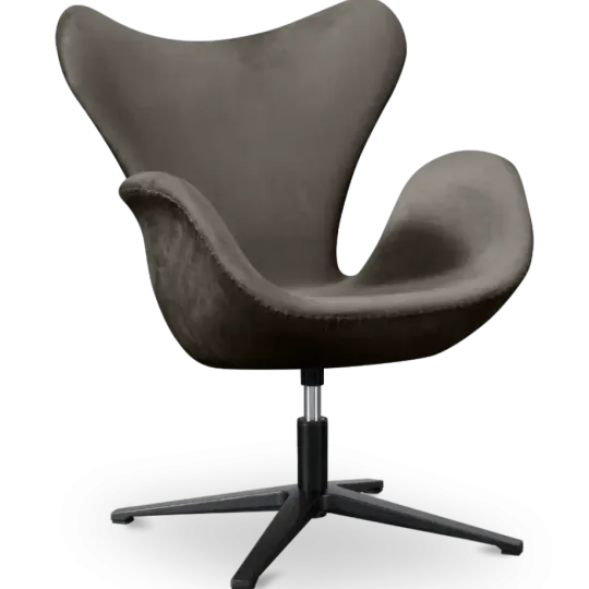 Sean Chair Zilver Grijs Velvet