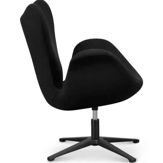 Sean Chair Zwart Kasjmier