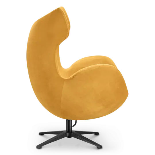 Flag Chair Oker Velvet